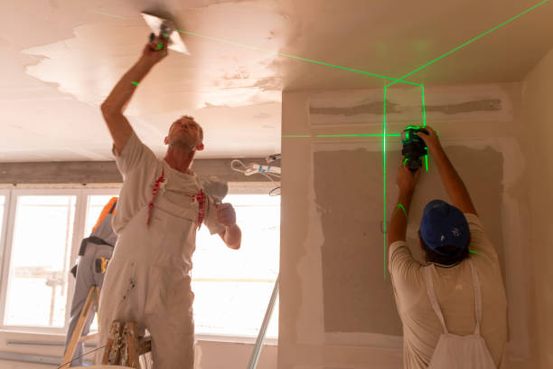 Best Drywall Removal and Disposal  in Bodfish, CA